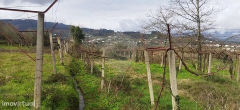 Offering an area of 1100m², this agricultural land is located in the parish of Paço Vedro Magalhães. Its notable features include a flat topology that makes it easy to grow, stunning, unobstructed views, water availability for irrigation, and excelle...
