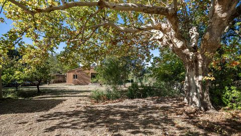In the countryside around Saint Remy de Provence and at the gateway to the Alpilles, this lovely property has been completely renovated whilst respecting its architectural origins. Ideal for nature lovers, this house with 1.2 hectares of land could i...