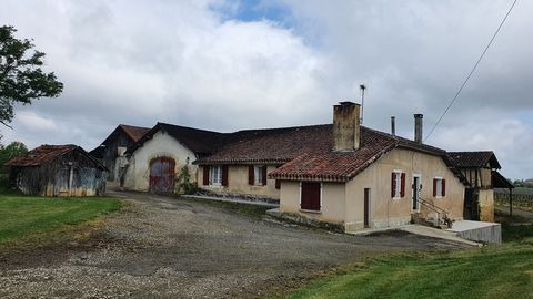 photo no. 2
