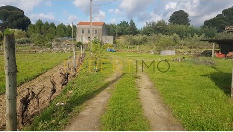 Bela Quinta in the middle of GeoPark Unesco World Of Serra Estrela in quiet village near the city Gouveia. With great sun exposure every day, own water through bore hole and well, reveals good agricultural potential (vineyard, olive trees and fruit t...