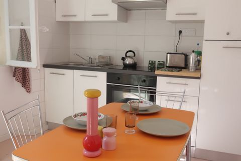 photo no. 11