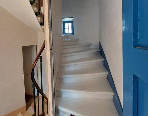 photo no. 19
