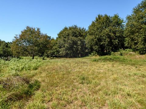 Walled plot with 4748m2, on two terraces. Construction index 50% at the front of the land and 30% at the back. Excellent sun exposure and location. Sold with project submitted to Caminha City Council for a single-story house with four suites measurin...