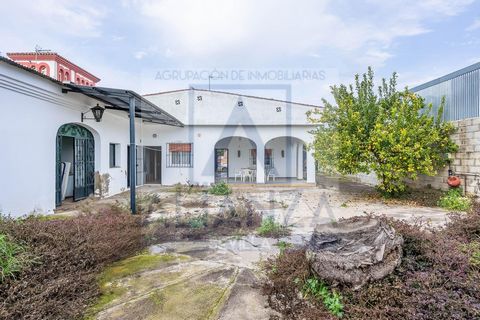 House for sale in Bollullos de la Mitación (Seville).~~Imposing house at the entrance to the village on the road that comes from Bormujos. ~~If the price imposes, wait until you know it inside. The first time I saw it from the outside I thought it wa...