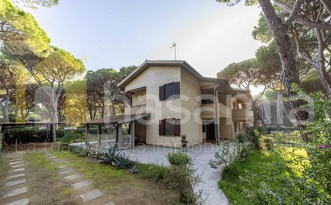 Questa splendida villa si trova nel cuore della bellissima pineta di Principina a Mare, frazione di Grosseto, un angolo di tranquillità perfetto per chi cerca il relax e il fresco della natura, senza rinunciare alla comodità di essere vicino alla cit...