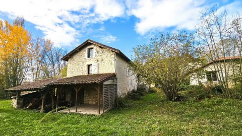 photo no. 9