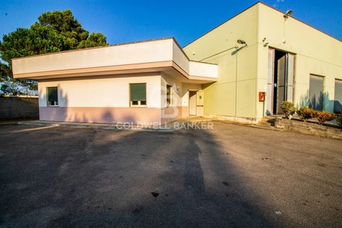 Commercial warehouse of approximately 1,400 square meters located in the Northern area of Salento, precisely in the industrial area of San Pietro Vernotico (BR), in Via Cigno, not far from the highway where you can enjoy convenient traffic that allow...