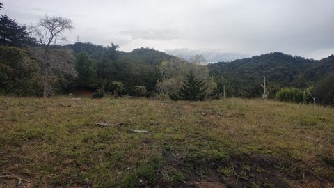 Con un área de 1.887 m2, rodeado de naturaleza y arboles nativos donde puede respirar aire puro.  Condominio conformado por 15 lotes con áreas entre 1.300 y 1.900 metros cuadrados aproximadamente. Ubicado en La Ceja, (vereda El Tambo). Portón de acce...