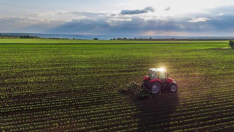 Een uitzonderlijke investeringsmogelijkheid wacht op u met 2000 hectare compacte, klasse 1 bouwland in de provincie Hunedoara, op slechts een klein eindje rijden van de stad Deva, Roemenië.   Belangrijkste kenmerken Land van hoge kwaliteit : Eerstekl...