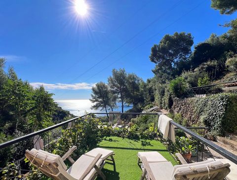 Exclusivité !! Pour  amateur de nature,  d' oiseaux et de calme . Dans un magnifique cadre unique de Côte d'azur, maison avec vue mer spectaculaire. Dans un site privilégié aux portes de la Principauté de Monaco, de Nice et sait Jean Cap Ferrat, se t...