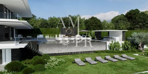photo no. 11