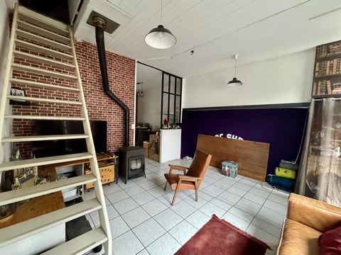 photo no. 6