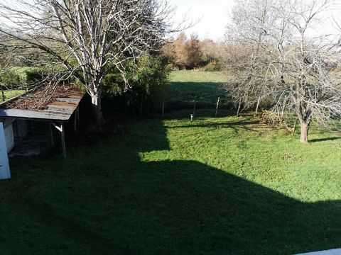 photo no. 17