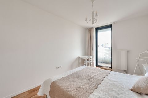 photo no. 8