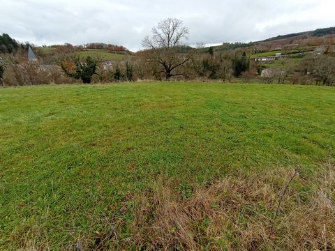 photo no. 4