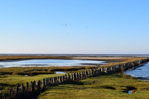 Visítenos en la costa del Mar del Norte, cerca de St.Peter-Ording. Disfrute del aire fresco, el viento y el espacio en nuestra luminosa casa de vacaciones.