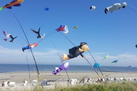 Maison de vacances unique pour 6 personnes sur les dunes avec jardin