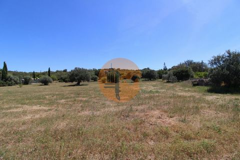 Uitstekend rustiek land met 12760m². Het land is volledig vlak, ontvangt de hele dag zon, is toegankelijk via een onverharde weg en ligt op een paar meter van een geasfalteerde weg. Het heeft elektriciteit, een Nora en een tank die niet in gebruik zi...