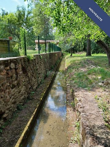 photo no. 3