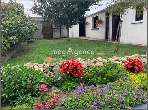 photo no. 10