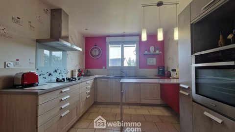 photo no. 11