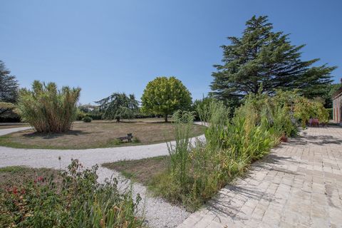 photo no. 13