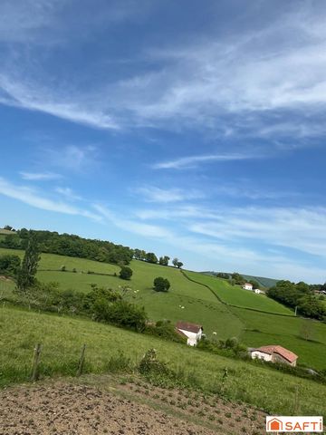 photo no. 16