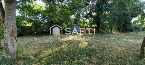 photo no. 15