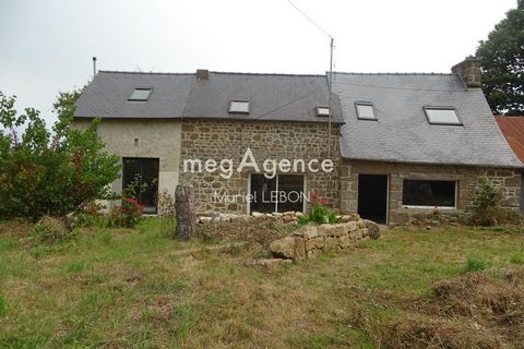 photo no. 3