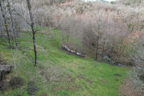 photo no. 4