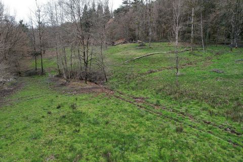 photo no. 6