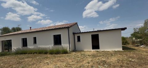 photo no. 11