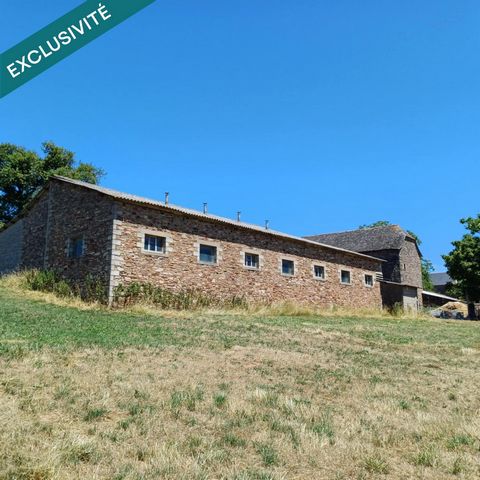 photo no. 4