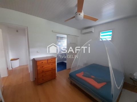 photo no. 13