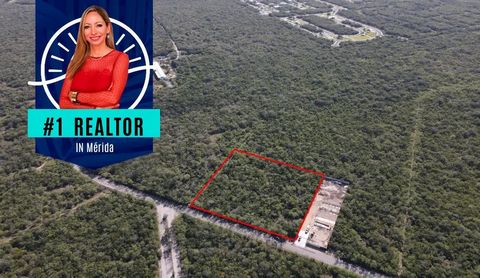 Profiteer van deze uitstekende investeringsmogelijkheid in Sierra Papacal, een groeiend gebied met grote toegevoegde waarde in Yucatán. Het perceel heeft een totale oppervlakte van 9.986,96 m², perfect voor residentiële, commerciële of gemengde proje...