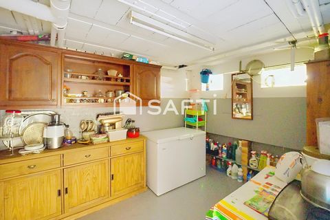 photo no. 15