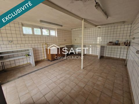 photo no. 11