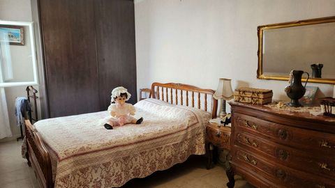 photo no. 5