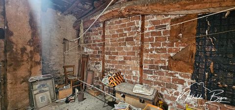 photo no. 4