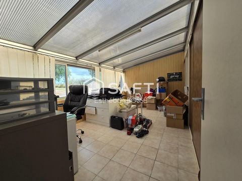 photo no. 10