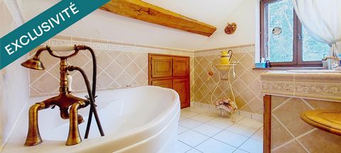 photo no. 11