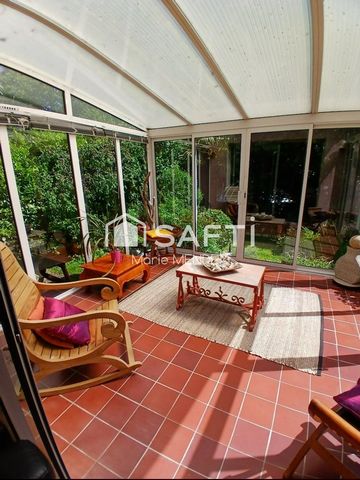 photo no. 11