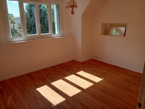 photo no. 7