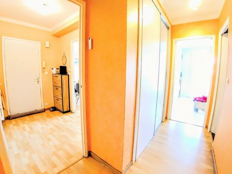 photo no. 18
