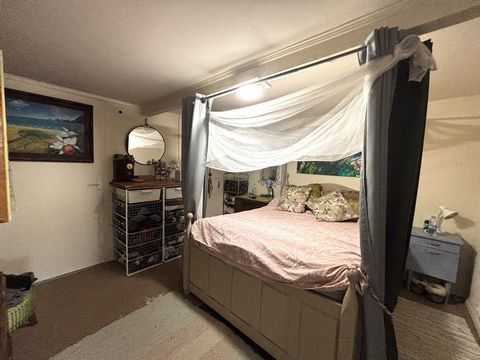 photo no. 6
