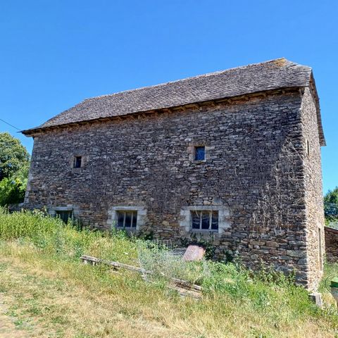 photo no. 4