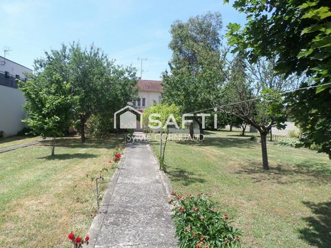 photo no. 11