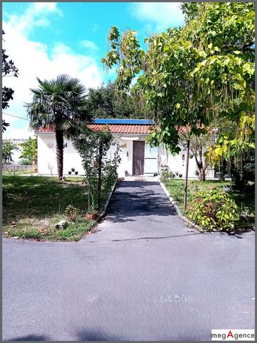photo no. 13