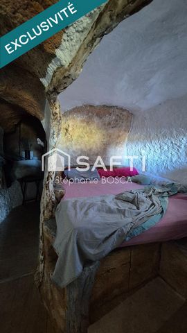 photo no. 8