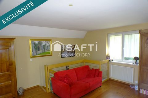 photo no. 11